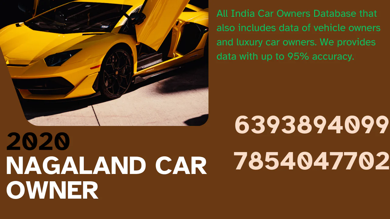 Nagaland car owner database 20